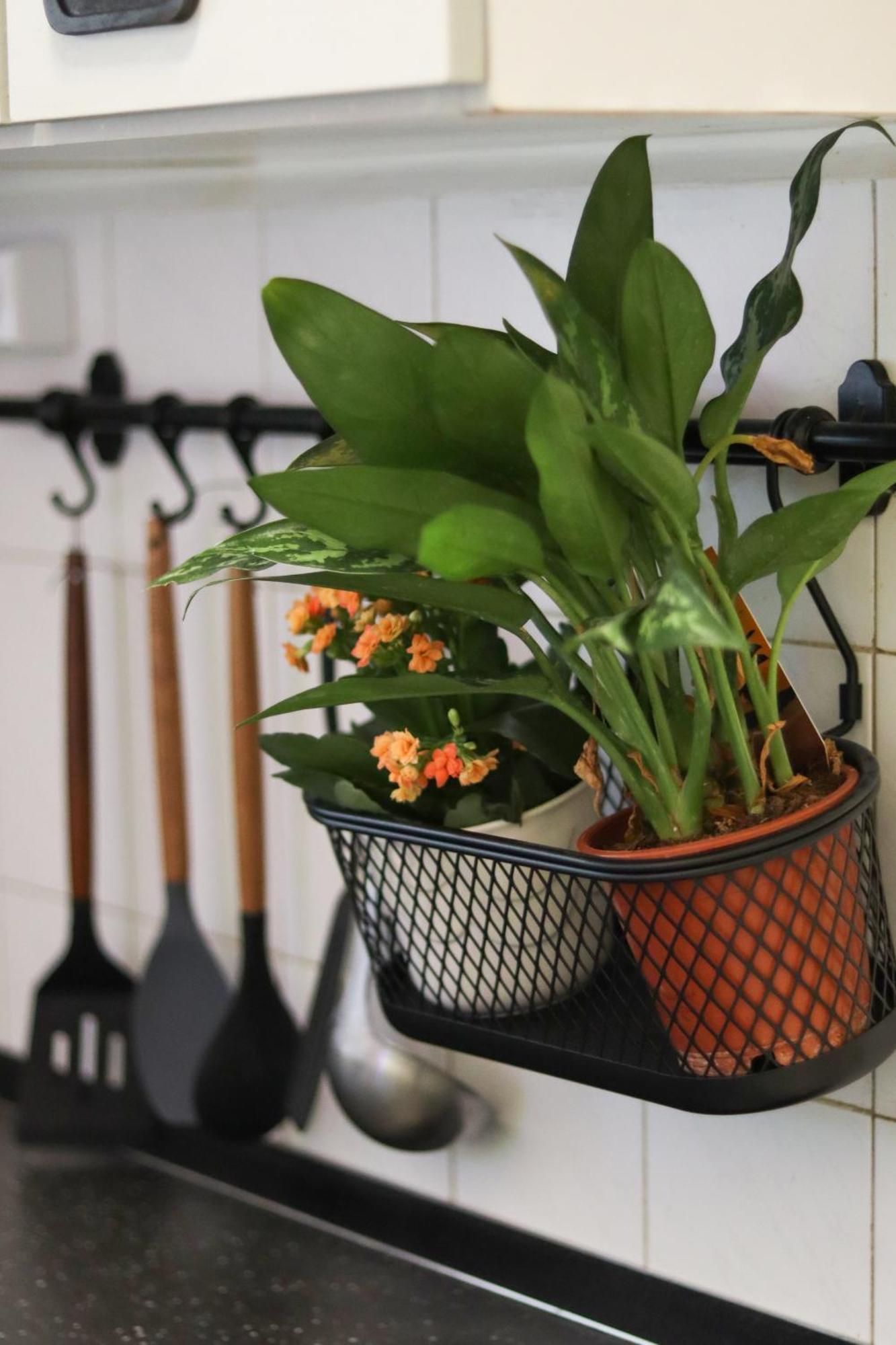 If-Ju-Lak Apartment Kaposvar Ngoại thất bức ảnh
